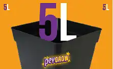 5L podi