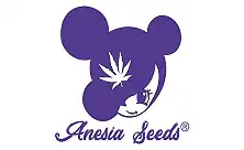 Compra Semillas Anesia Seeds al Mejor Precio en Pevgrow: Feminizadas y Autos Baratas