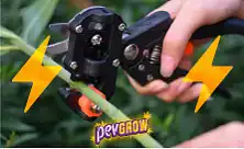 Electric Pruning Shears