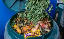 Kompostbingar og vermekompostarar