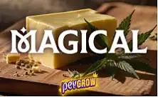 Magical Butter makina eta osagaiak