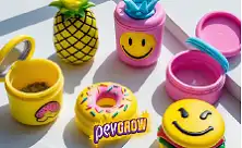 Caixas de Silicone para BHO e Potes de Silicone
