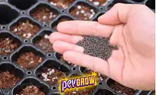 Tabuleiros de Germinação e Plugs de Iniciação