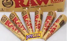 Pre rolls - Raw Cones