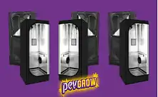 Grow box 60x60