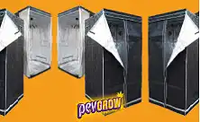 Armários de Cultivo 100x100