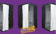 Tendas de Cultivo 120x120