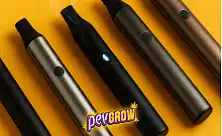 Comprar Cigarros Eletrónicos Online