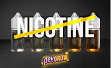 Nikotina Gabeko Vape Likidoa