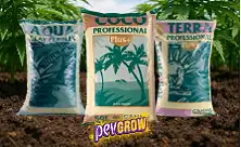 Terra Canna e Substratos