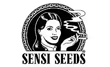 Sensi Seeds Autofloraison : Graines Automatiques de Haute Qualité.