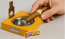 Cigar Ashtray