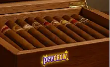 Cave À Cigare/ Humidor Cigare