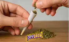 Готови конуси