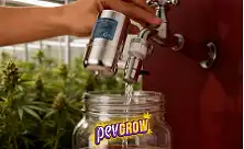 Purificateurs D’eau/Filtres À Eau