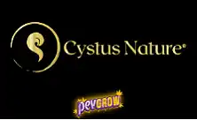 Cigarros Herbais Cystus Nature