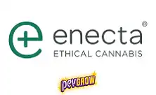 Enecta CBD