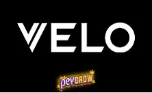 Kup woreczki nikotynowe VELO online