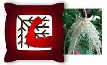 Стимулатори за корени за канабис