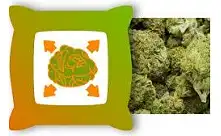 Bud Fatteners & Bloei Stimulatoren