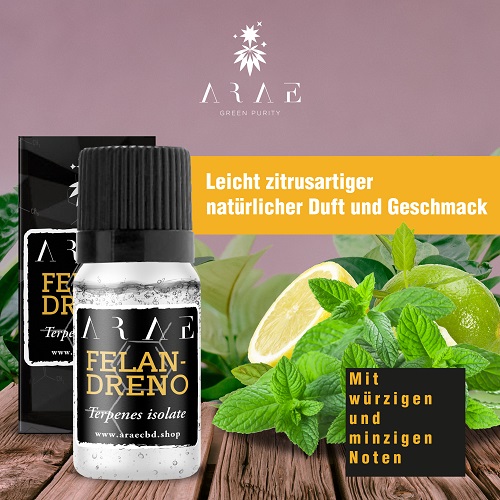 Alpha Phelandren ARAE flavor and aroma