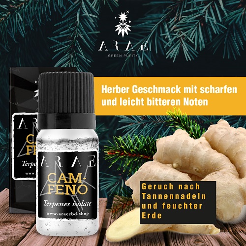 Camphene ARAE flavor and aroma