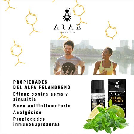 A-Felandreno ARAE propiedades