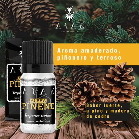 Alfa Pineno ARAE sabor y aroma