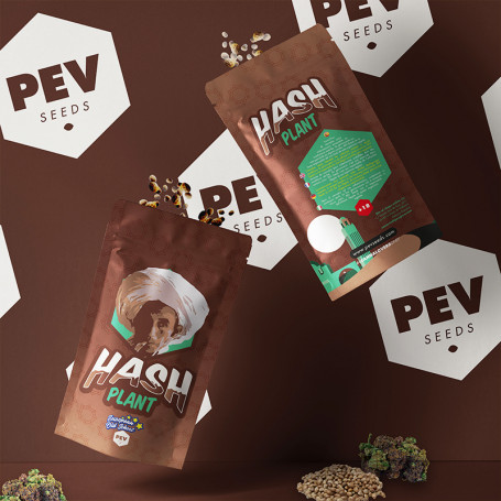 Hash Plant PEV Bank Seeds