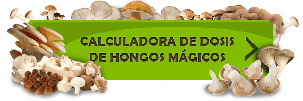 Calcolatore della dose di funghi magici