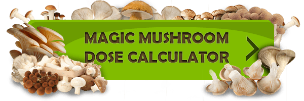 Calcolatore di dose di funghi magici
