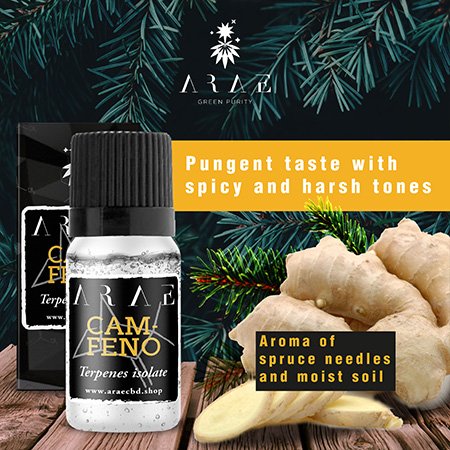 Camphene ARAE flavor and aroma