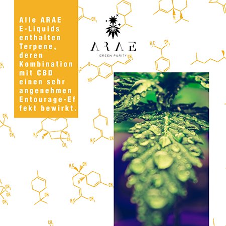 E-liquid ARAE CBD + Terpene entourage-effekt