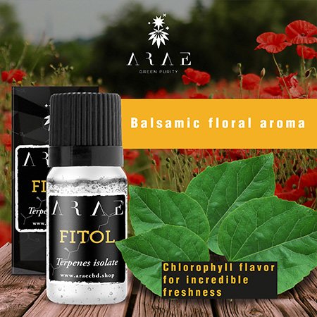 Fitol ARAE flavor and aroma