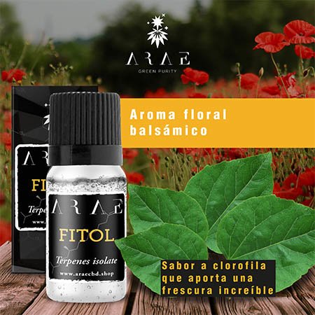 Fitol ARAE sabor y aroma
