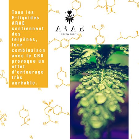 E-liquides ARAE CBD + Terpenes effet entourage
