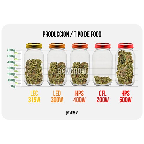 Producción por tipo de foco de cultivo