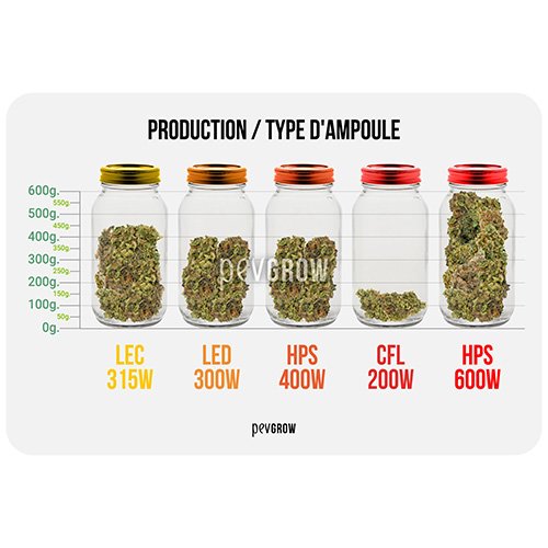 Production par type d'ampoule