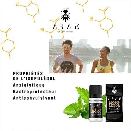 Isopulégol ARAE proprietes