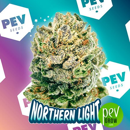 Northern Light PEV Bank Seeds