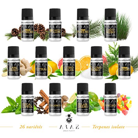 Toutes les variétés de terpènes ARAE