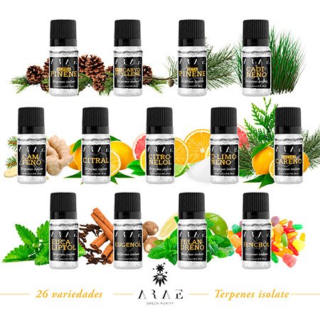 Todas las variedades de terpenos de ARAE
