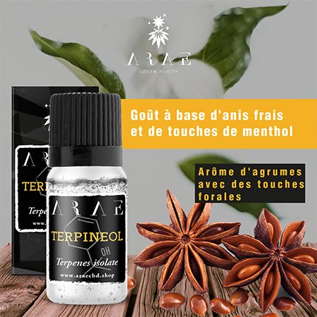 Terpinéol ARAE goût et arôme