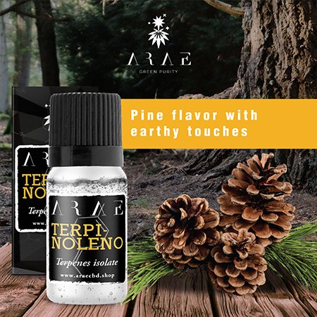 Terpinolene ARAE flavor and aroma