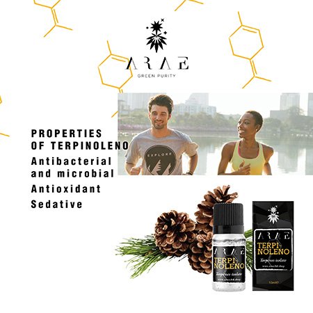 Terpinolene ARAE properties